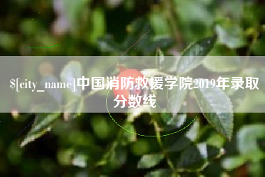 山东中国消防救援学院2019年录取分数线