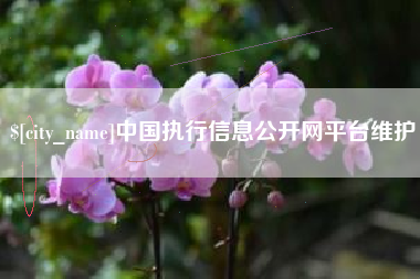 山东中国执行信息公开网平台维护