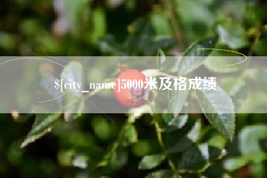 山东5000米及格成绩