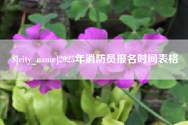 山东2025年消防员报名时间表格