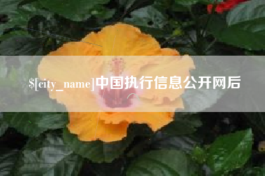 山东中国执行信息公开网后