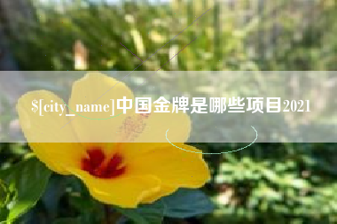 山东中国金牌是哪些项目2021