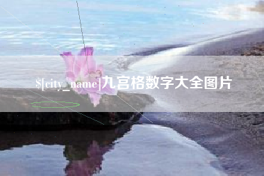 山东九宫格数字大全图片