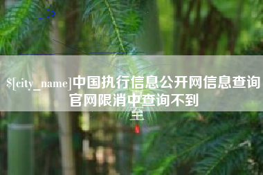 山东中国执行信息公开网信息查询官网限消中查询不到