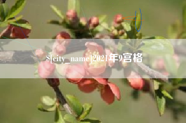 山东2021年9宫格