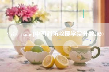 山东中国消防救援学院分数2020