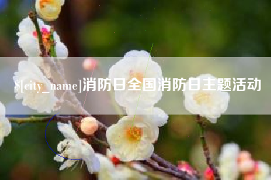 山东消防日全国消防日主题活动