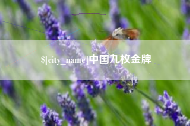山东中国九枚金牌