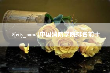 山东中国消防学院排名前十