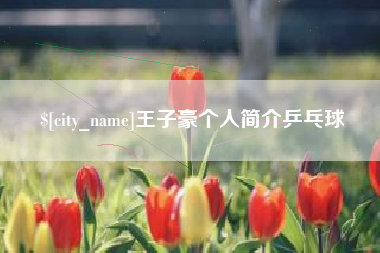 山东王子豪个人简介乒乓球