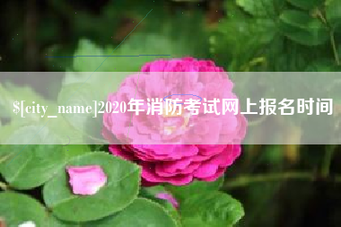 山东2020年消防考试网上报名时间