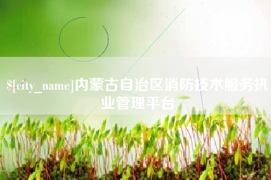 山东内蒙古自治区消防技术服务执业管理平台