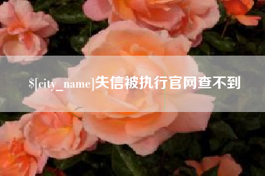 山东失信被执行官网查不到
