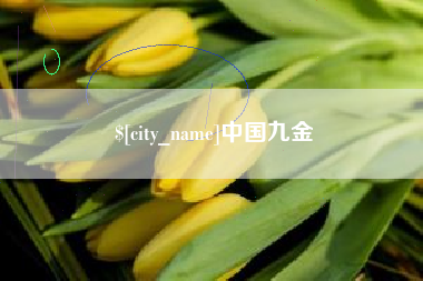 山东中国九金