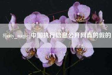山东中国执行信息公开网真的假的