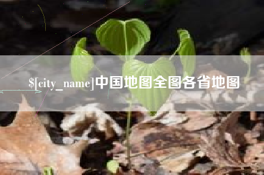 山东中国地图全图各省地图
