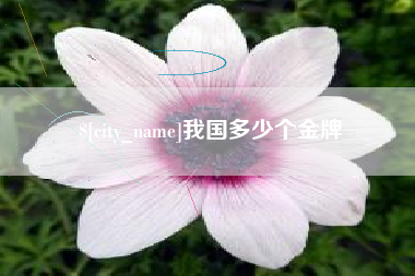 山东我国多少个金牌