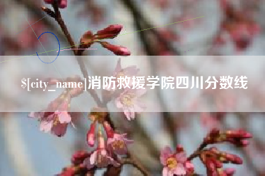 山东消防救援学院四川分数线