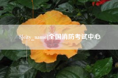 山东全国消防考试中心