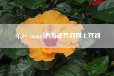 山东消防证查询网上查询