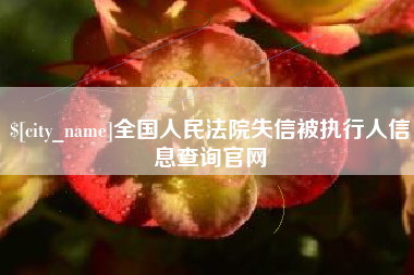 山东全国人民法院失信被执行人信息查询官网