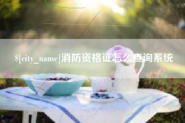 山东消防资格证怎么查询系统