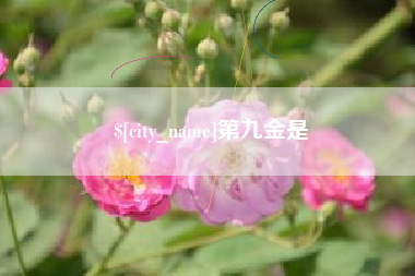 山东第九金是