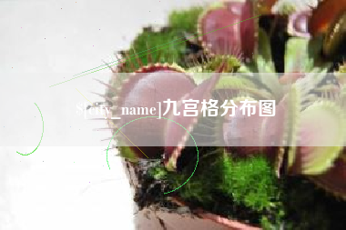 山东九宫格分布图