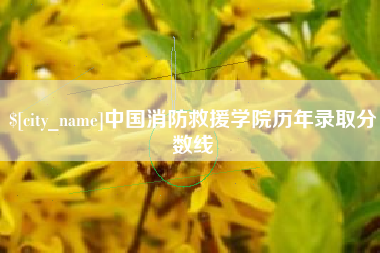 山东中国消防救援学院历年录取分数线