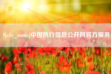 山东中国执行信息公开网官方服务