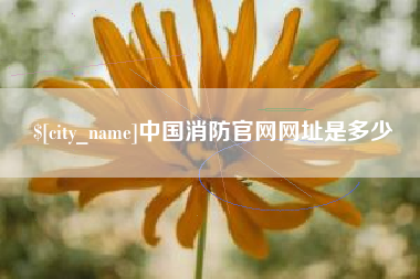 山东中国消防官网网址是多少