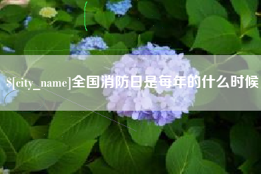 山东全国消防日是每年的什么时候
