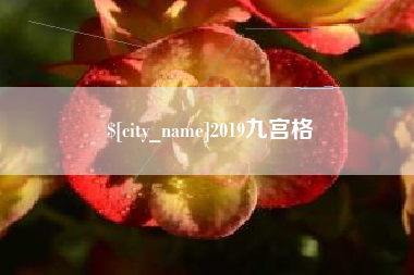 山东2019九宫格