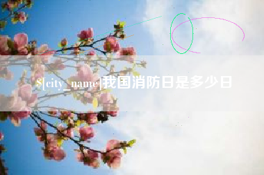 山东我国消防日是多少日