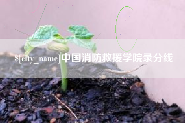 山东中国消防救援学院录分线