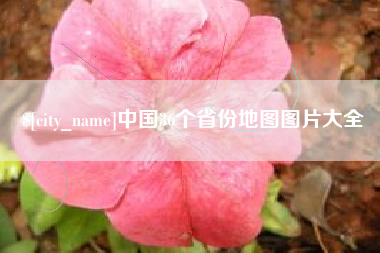 山东中国36个省份地图图片大全