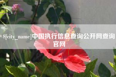 山东中国执行信息查询公开网查询官网