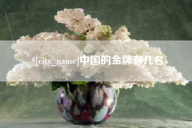 山东中国的金牌有几名