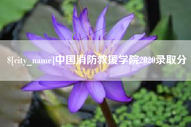 山东中国消防救援学院2020录取分