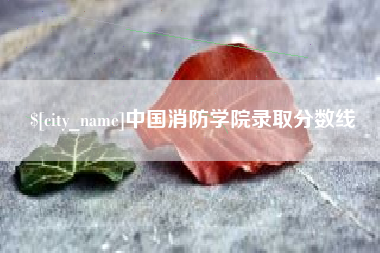 山东中国消防学院录取分数线