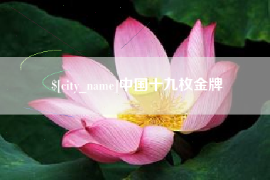 山东中国十九枚金牌