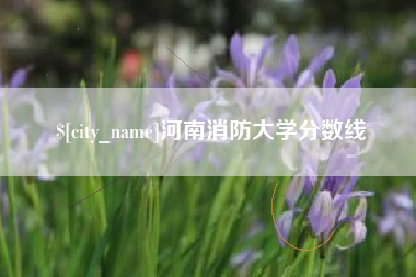 山东河南消防大学分数线