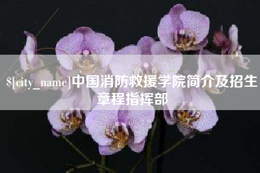 山东中国消防救援学院简介及招生章程指挥部