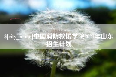 山东中国消防救援学院2021年山东招生计划