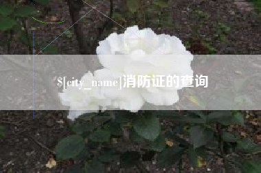 山东消防证的查询