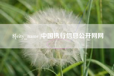 山东中国执行信息公开网网