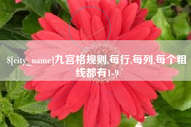 山东九宫格规则,每行,每列,每个粗线都有1-9