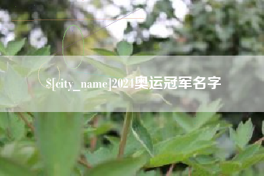 山东2024奥运冠军名字