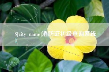 山东消防证初级查询系统