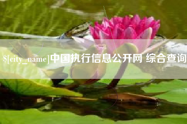 山东中国执行信息公开网 综合查询